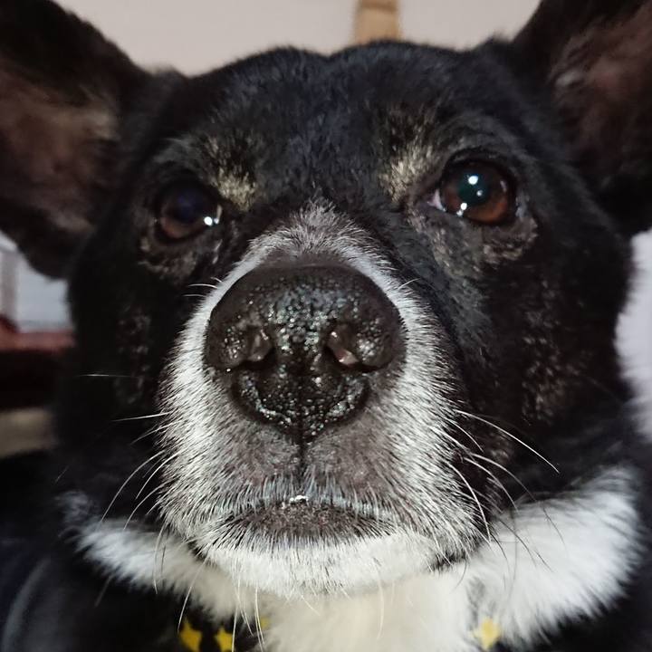 05a9fa6b 4232 4f69 a06c 819bbaa19caf 1523624989914