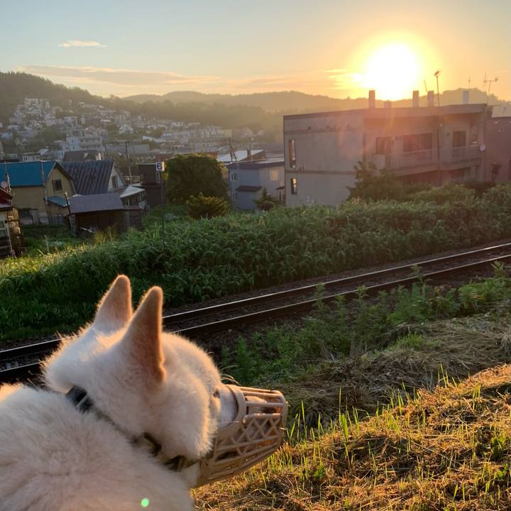 05aa4448 cb25 46cf a794 4bc0d59f9caa 1623616299490