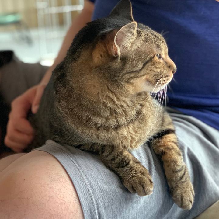 05aaa6e3 7229 44bb 8fb1 1bbfb90e2524 1594516565349