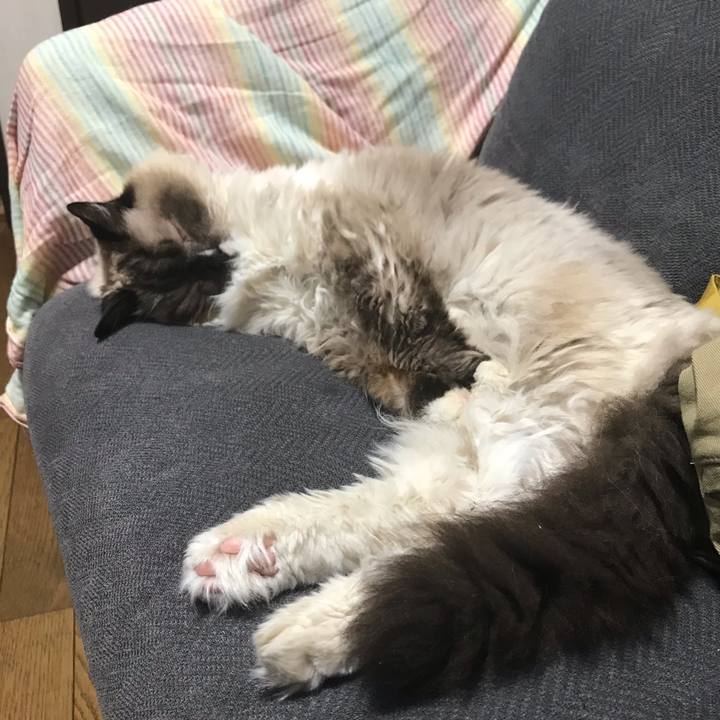 05aad6d3 c6e8 4ba5 98d4 b8691ce8c264 1629958143244