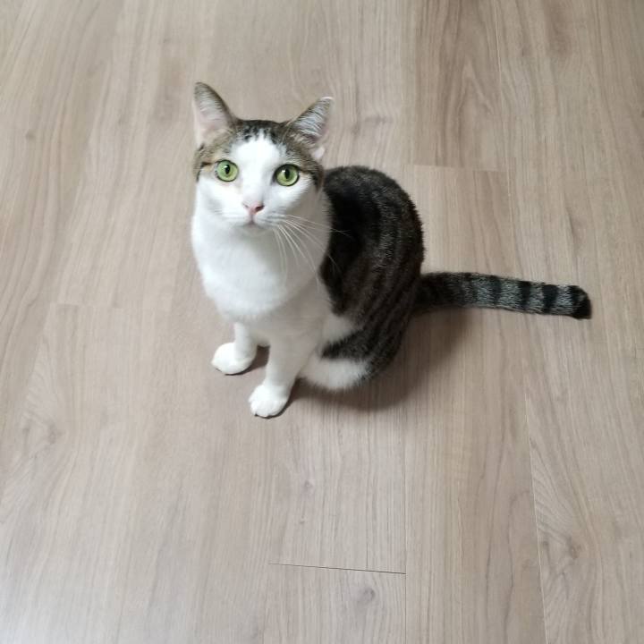 05aada02 e7b6 4a35 8a7d 205aa01b31d2 1555982032978