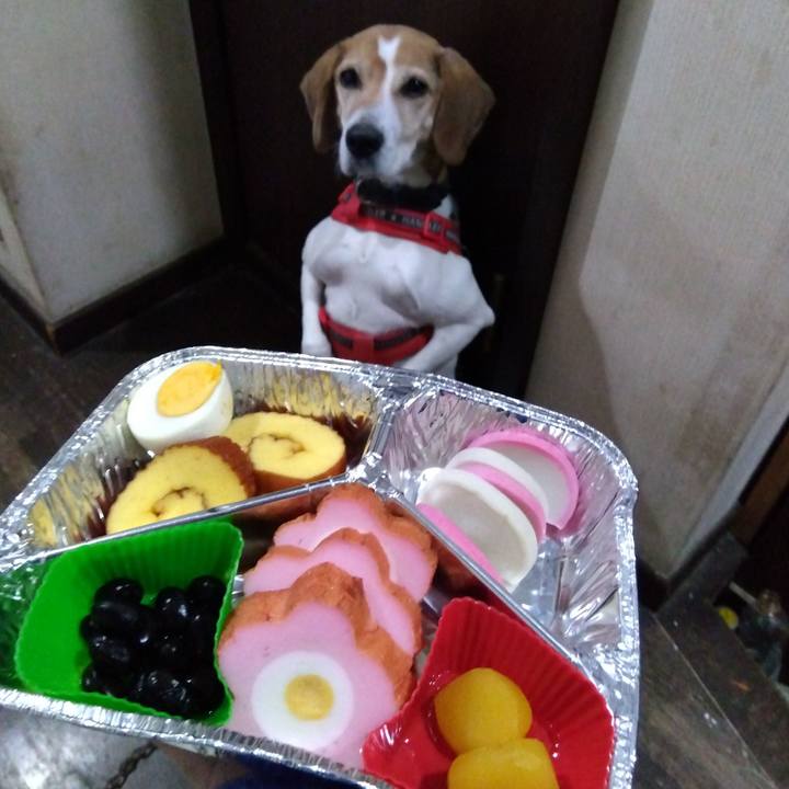 05aaf77a 716b 4a60 bf76 1914339ad154 1704183984474