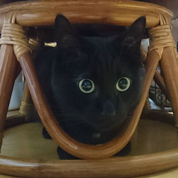 05ab0b88 9f58 480f 81c0 cd710b0f2828 1623540048384