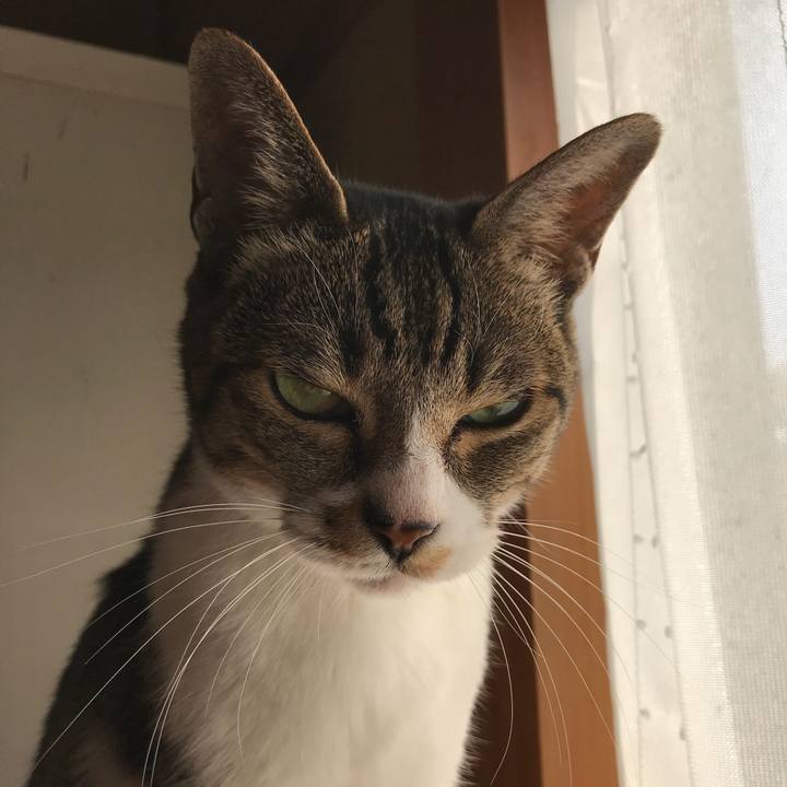 05ab1f97 5392 426f bf53 a8e150cef8dd 1509845843088