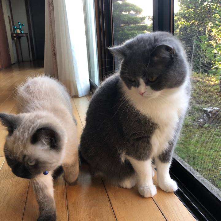 05ab641f 7209 4e0c 8f62 218aab06371f 1589194275895