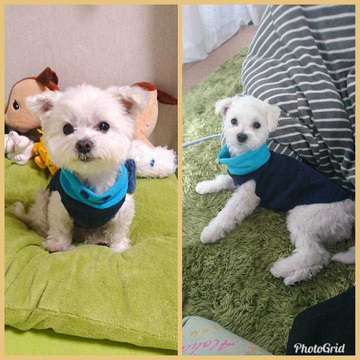 05ab7e6f 0367 4ce3 a40d 6255b928bb24 1513235853665