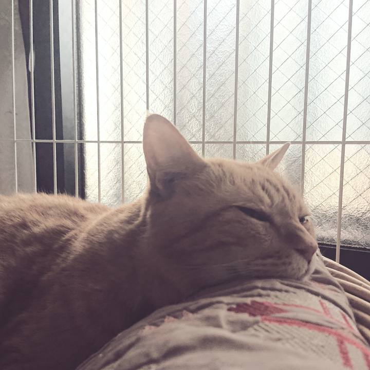 05aba25f 2a44 4fea 828e 67d0a6b449e3 1626568116562