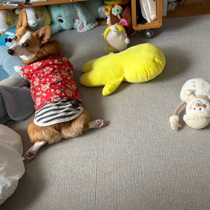 05abbad9 297d 4898 b63f 26b93ba4d8e1 1770524614917