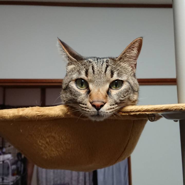 05abdfcf e332 4c3a 835c ea23b544be6b 1512812012889