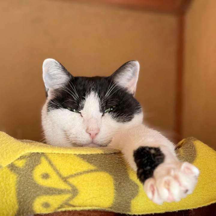 05ac47d6 b485 4a1f a9d5 77b2b46b3e53 1738199796848