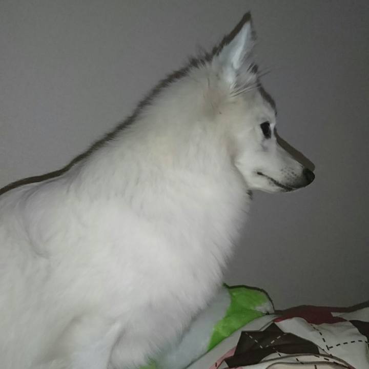 05ac53a7 e8b4 471a a0d8 a9eed1972b3b 1513265314025