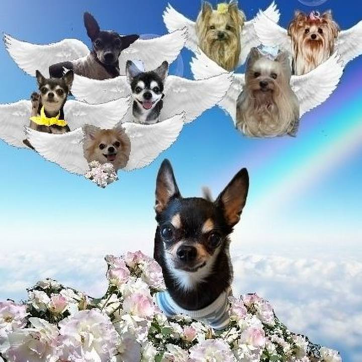 05ac6395 8d4e 4c37 8bd4 8a16487818c4 1713415133691