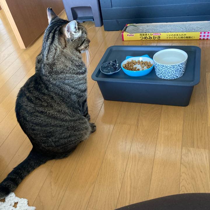 05ac6e97 b3f0 455d b186 6f1d55c569b2 1630225661679