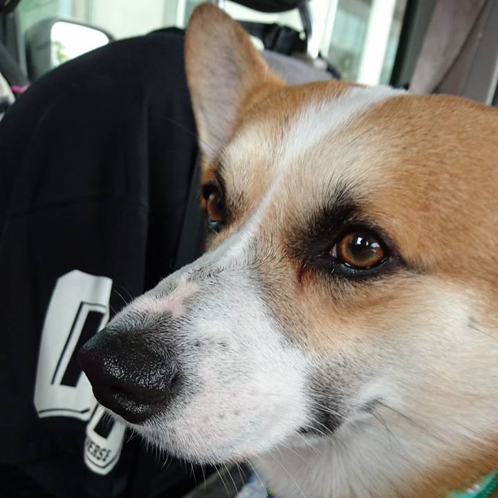 05ac8c7c 5ab1 4b62 90b6 6f5ee3db60dd 1624334626255