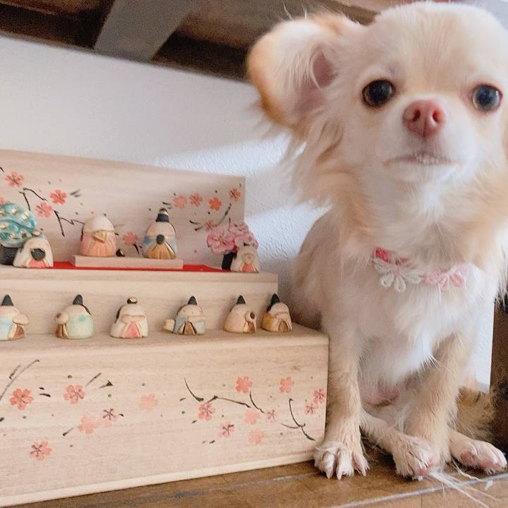 05acdb0e 6cb2 442a 9576 eb14399940f1 1614721436177