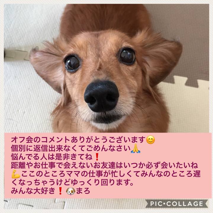 05ad6346 3c93 427a b072 f026de4436ee 1509690678587