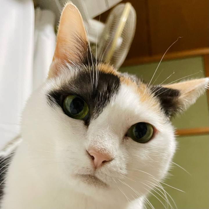 05ad6bc3 1ba0 4a90 ac91 3865ff5d2467 1647309976482