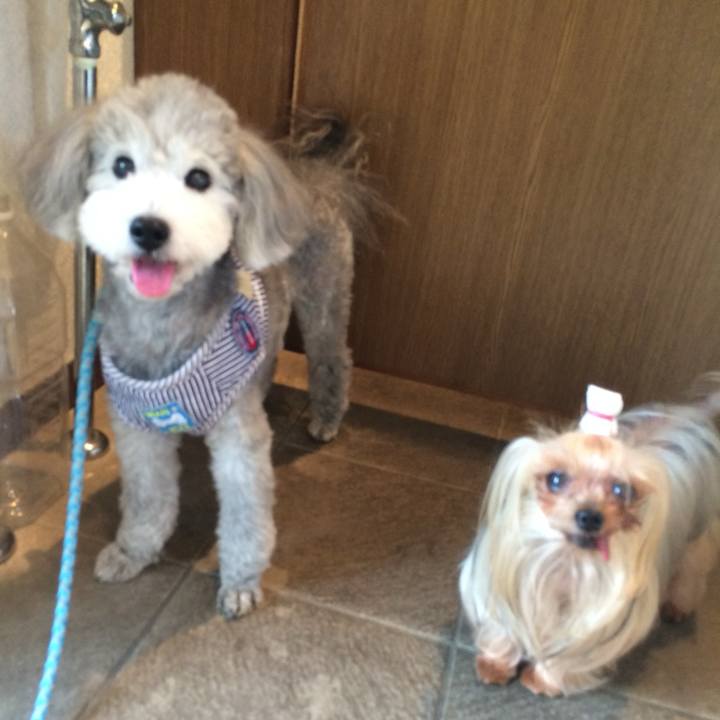 05ad6d22 77c6 4325 9d7c 1de11b36668f 1716867744675