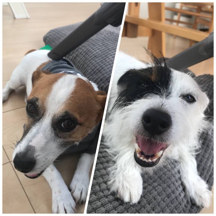 05ad784a 8f9f 4a7e b194 76dc1488d2b5 1536543210424