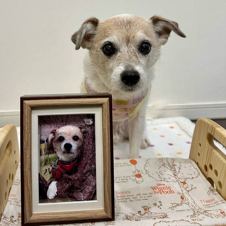 05ade944 b207 49ab adb0 1c7e8ee7a668 1726228535253