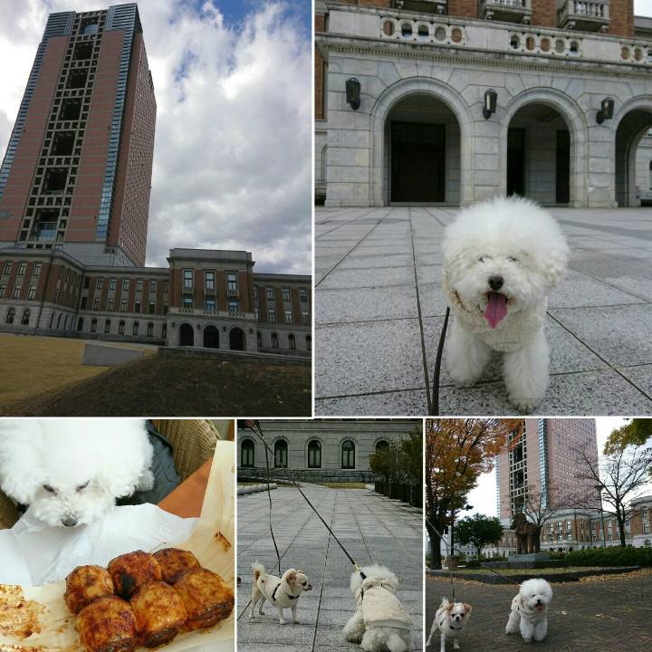 05adf9f5 f0fc 45f9 8312 ae871ee3837b 1511075828855