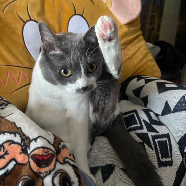 05adfe4e 442e 4b2c 98a3 dd338939eabe 1700553475164