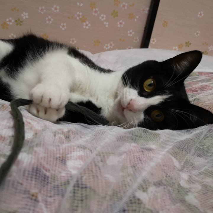 05ae38a3 a390 4aef a7aa 988f11f7aa2d 1571885795714