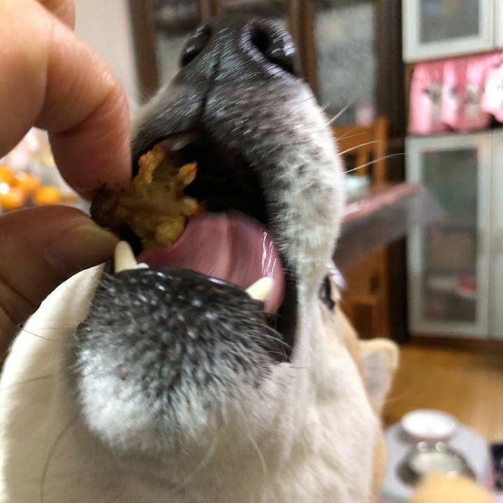 05ae9c1f de76 49b8 9cca c1e80406ab73 1603337444660