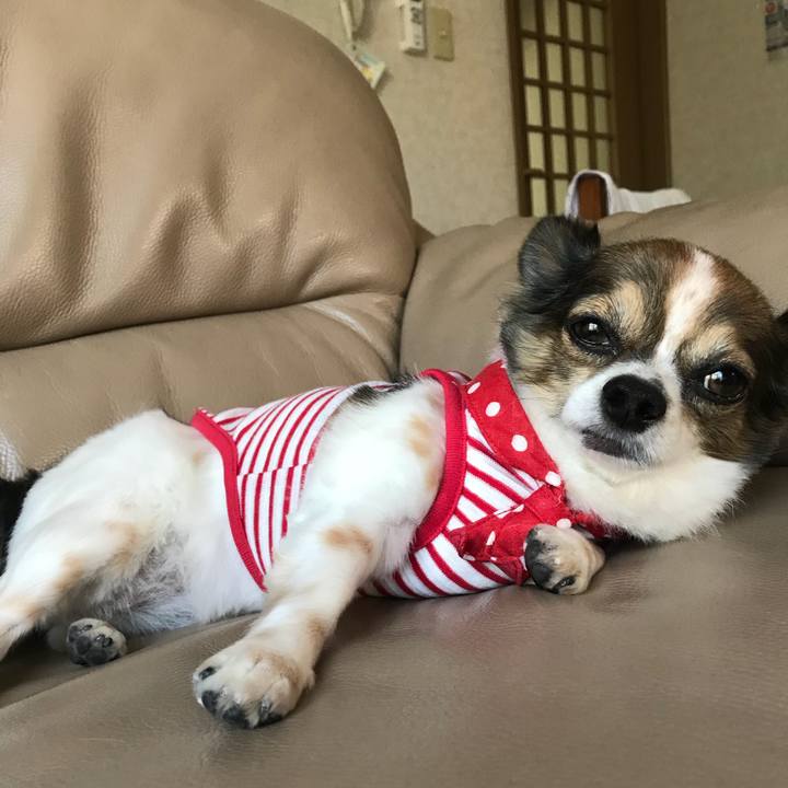 05aebb7b 4819 4e52 be50 91fd1bf7142b 1536468663425