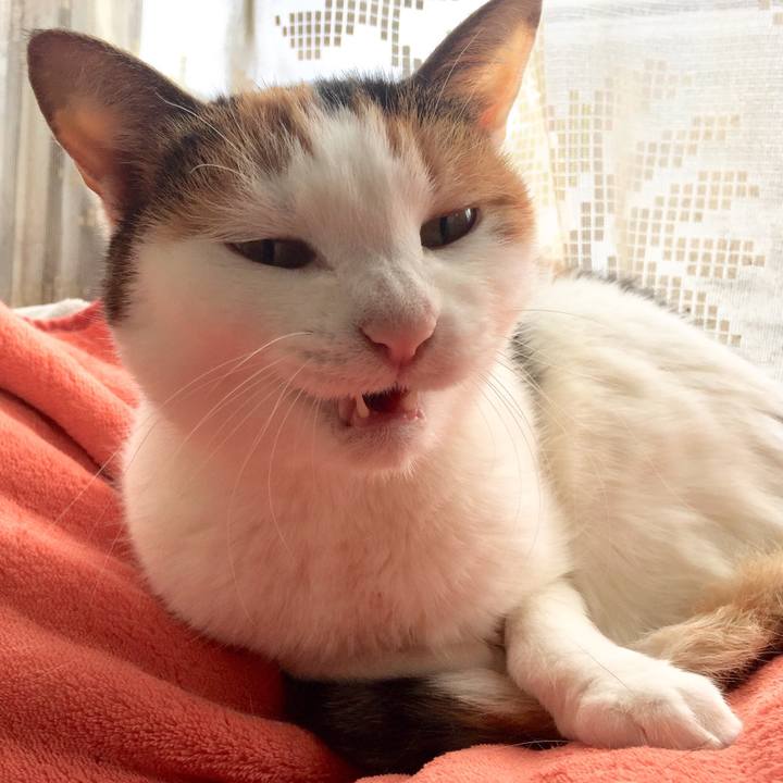 05aec789 6df5 45cd b62e c364518657b0 1521349234391