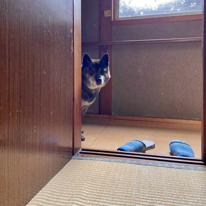 05aee971 881f 4e47 bd55 a9a53a474f21 1651900328387