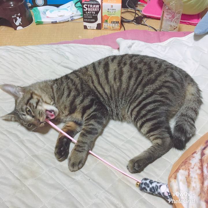 05aeef85 2d18 49af 8171 6806ae82ad2d 1546513431835