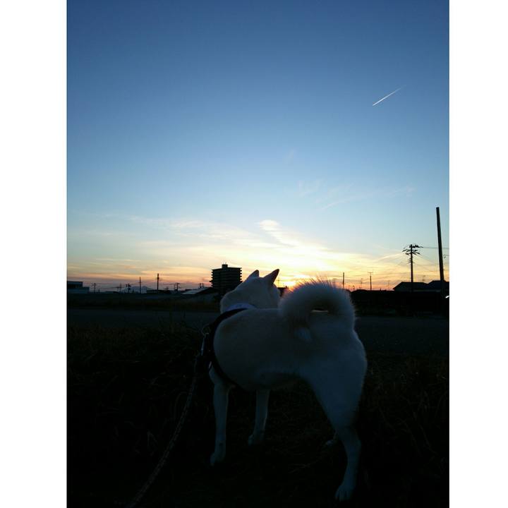 05af0c6f be9c 478f 8b33 569f92cb7fed 1543738963803