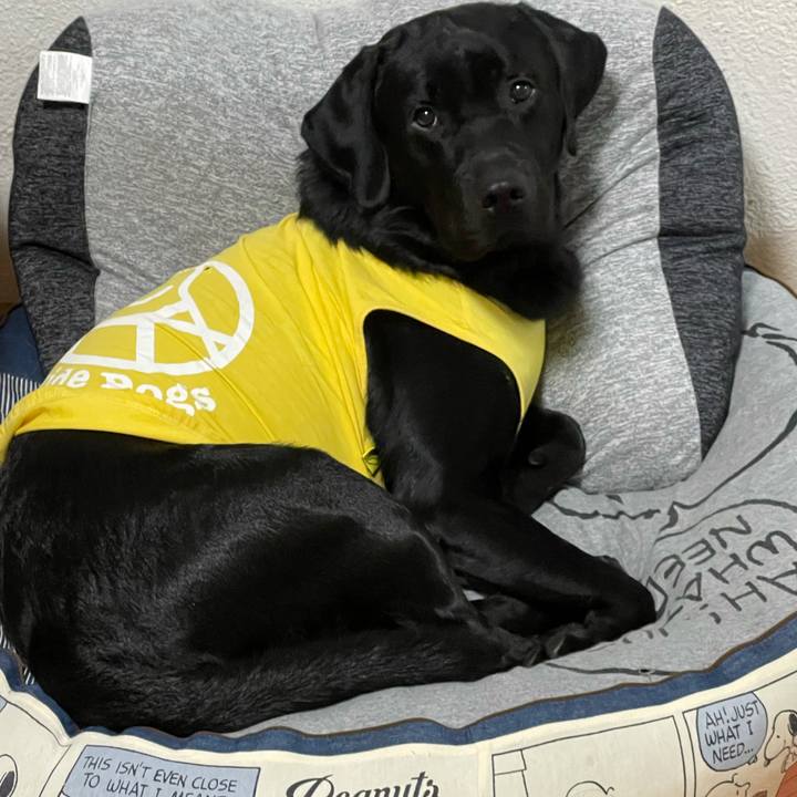 05af20fd 78d2 4687 aa70 af479fcfcf8c 1629898358627