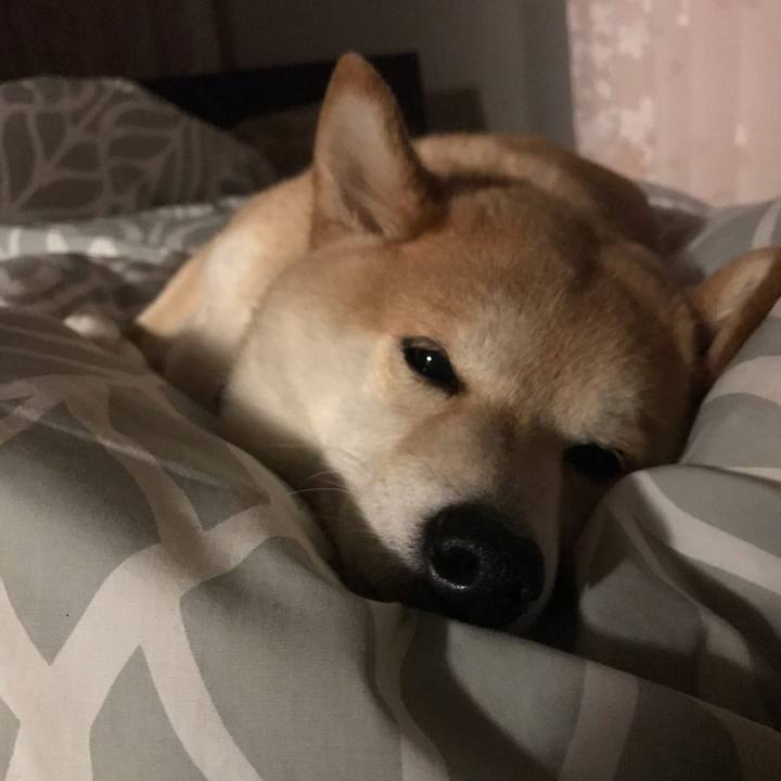 05af28bd 4092 47b9 b432 c5f73ecb6056 1554908906161