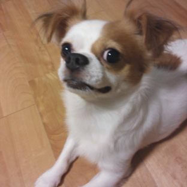 05af4a05 e64a 4630 99eb 7d3593c06f8d 1686841855277