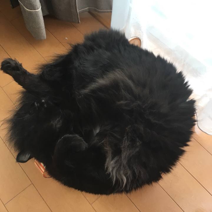 05af4d02 3a4f 405f b36c 49b01842cc9a 1532393291054