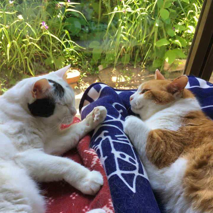 05af576f 2269 4eda 8f43 26cd0ea66dac 1591516243862