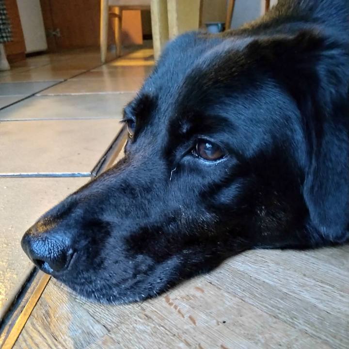 05af8d53 9c8c 4b74 b35d 9a72e7024314 1596707575871