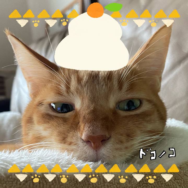 05afa0e4 71f7 4100 a125 b67670729a9a 1704669000409