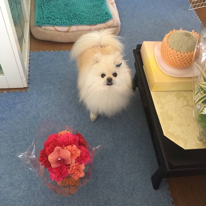 05afd967 d583 4d9c 8712 c34913e4b6d2 1588974656580