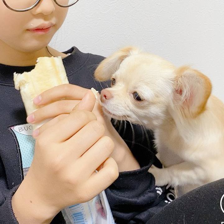 05afeffe a44c 4556 b0bb 209fd35fd335 1606820212696