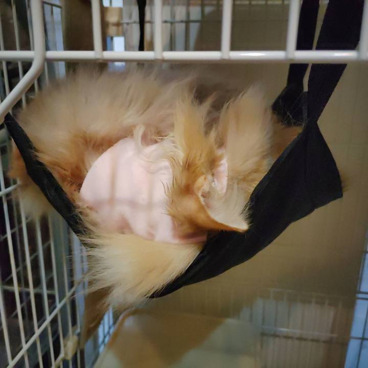 05aff3bc afde 42af a908 7e8015028d32 1682413329713