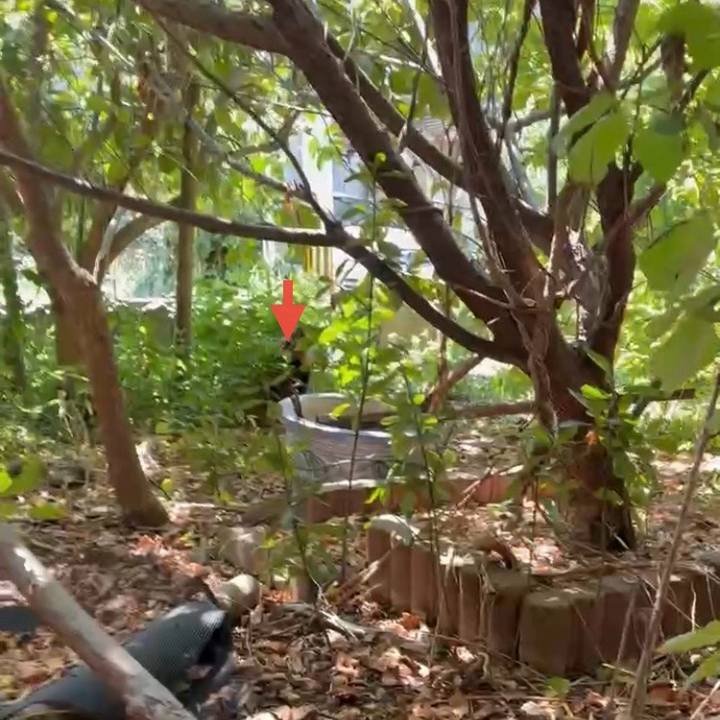 05b02cab 58a3 45f9 9c7d 93308af978bd 1756088195418