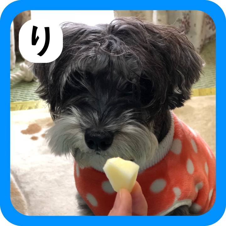 05b0355e f900 4b4c 8008 d97bfedf3ce6 1514864011334