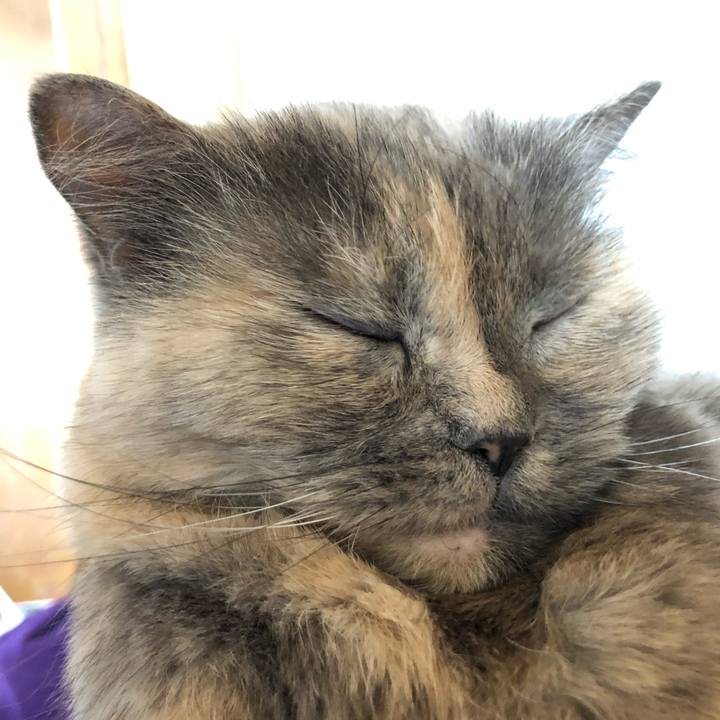 05b0623a 9e1d 4a6e 9a5e 56f9c3980bf1 1665324244847