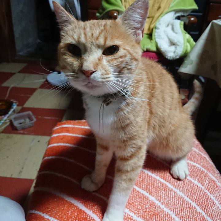 05b06bd5 7a47 4c2e b56c 933e5c412991 1592163254088