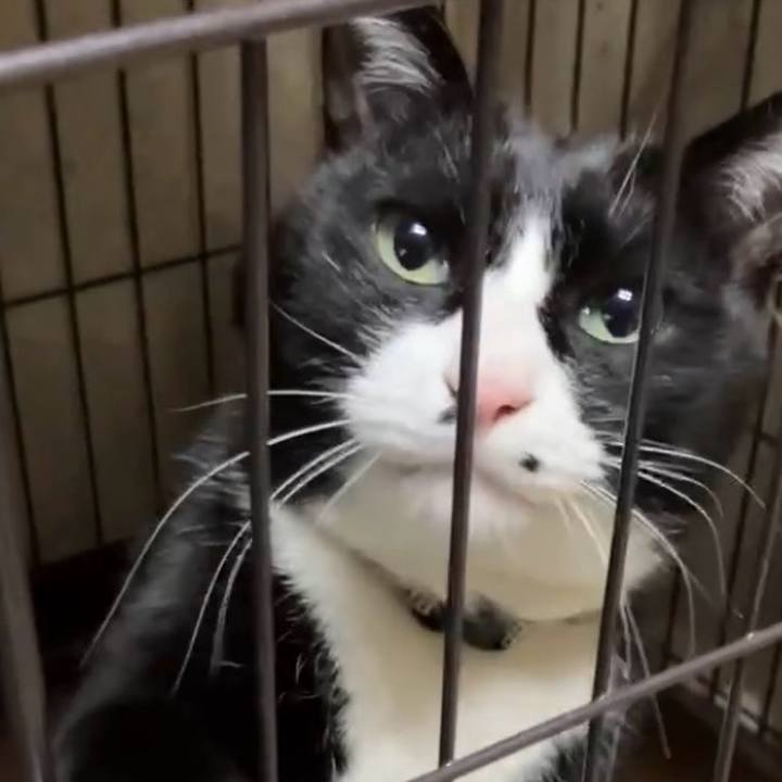 05b09388 068b 44a8 900f 2b5cab8661a1 1742010665188