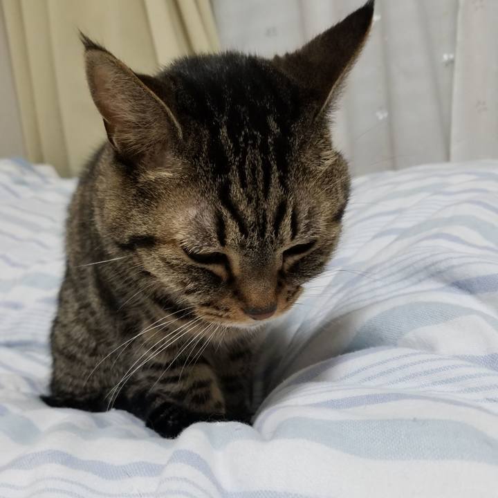 05b0e0e6 ea28 4a62 a296 daf9a337a229 1602192985625