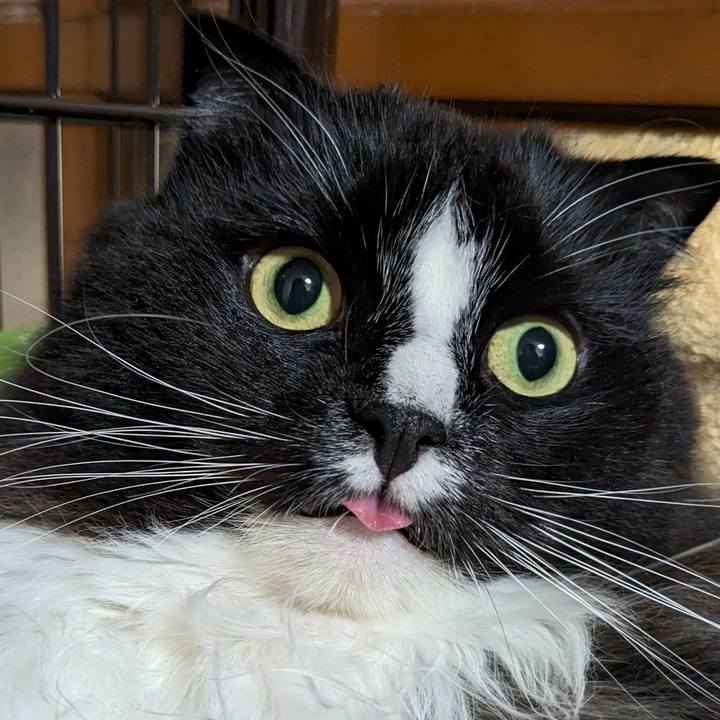 05b1195a cc69 4026 a34f f9f80260fc68 1700265137194